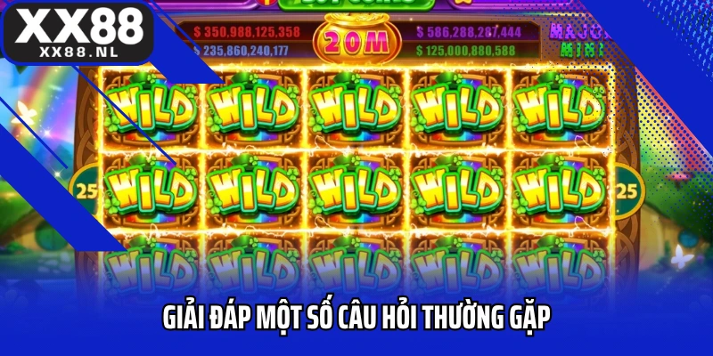 Giải đáp một số câu hỏi thường gặp